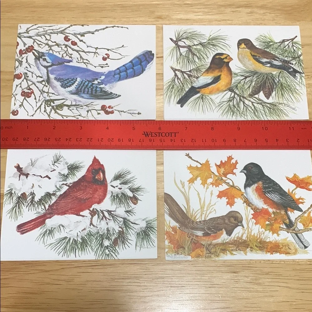 Lot of 19 blank cards with birds, cats and dogs on the fronts. Photos & art